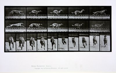 Greyhound running, plate 708 from 